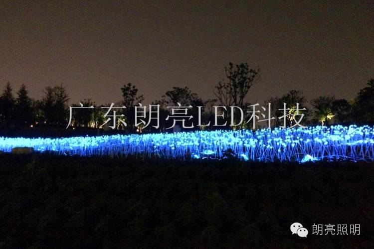 星空体育app
12.jpg